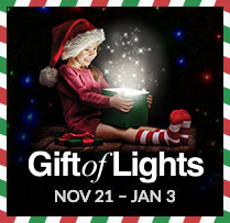 Gift of Lights